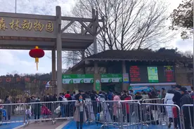 红山森林动物园，现在什么样？图片