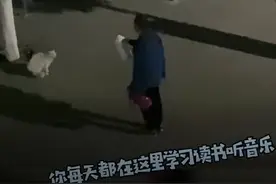 西安一高校大爷火了！深夜训话猫咪：你要做只有礼貌的猫图片