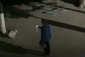 西安一高校大爷火了！深夜训话猫咪：你要做只有礼貌的猫图片
