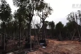 福建漳州：解金融难题 助春耕备耕视频封面