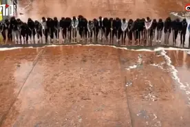 画面引起舒适！学生排成一排动作同步拖地，笑翻网友：做家务能力一流图片