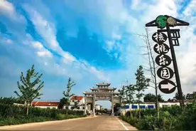 青未了｜我的老师图片