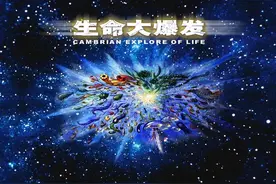 破晓时分，黎明的曙光——寒武纪图片