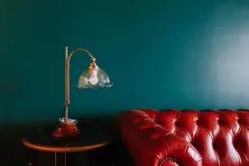 黎贝卡：我的家都是围绕我的需求布置图片