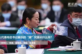 人大代表向总书记展示的两张“大萌猫”，到底什么来头？图片