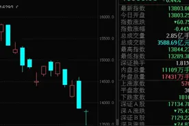 割肉的哭了！刚刚，深市上演500点大长腿，资金大抄底！小盘股崛起，低市值绩优股名单出炉图片