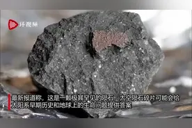稀有陨石碎片降落英国车道，最新研究称可能含有“生命成分”图片