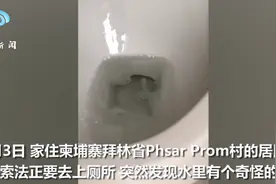 柬埔寨一男子冲厕所冲不干净，纳闷往里一看，眼镜蛇！画面太恐怖了图片