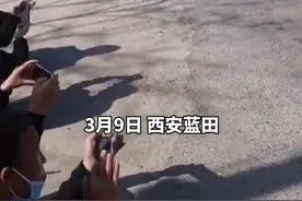 拍够200张违章照片才能领驾照？陕西蓝田交警：非强制，照片不作处罚依据图片