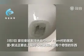 家里马桶老冲不干净 男子纳闷伸头往里一看 吓到赶紧跑出去呼救图片