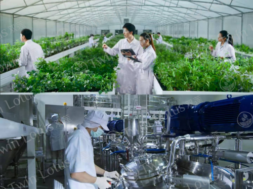 十大泰国即食燕窝品牌 2026年十大泰国即食燕窝品牌有哪些