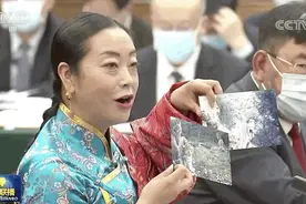 人大代表向总书记展示的两种“猫”，是什么来头？图片