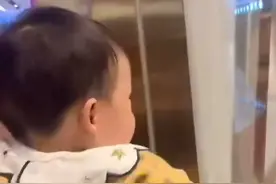 扎心了！萌娃看小鸭变烤鸭崩溃大哭 网友：果然是亲妈图片