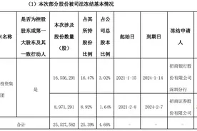 欠债过亿，账上不到1000万，丹邦科技“借钱不还”遭多家金融机构集体起诉图片
