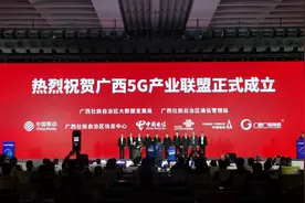 广西成立5G产业联盟，打造面向东盟的“数字丝绸之路”图片
