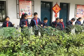 小雨下不停 杭州有位体育老师却带孩子们一起玩雨后做了这件事图片