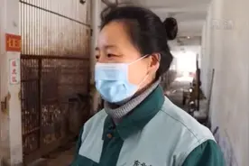 东北虎进入繁殖期“准妈妈”开始增加营养图片