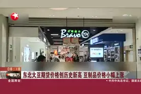 东北大豆期货价格创历史新高  豆制品价格小幅上涨视频封面