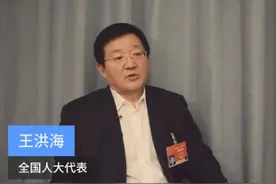 王洪海代表：在区域协同中优化产业布局、集聚高端要素图片