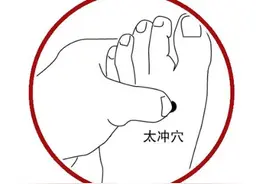 养肝不花钱！常按4穴，肝气顺了、睡眠香了，湿气也悄悄溜走图片