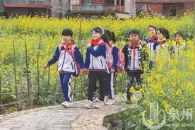 泉州洛江：油菜花成海 虹山等你来图片