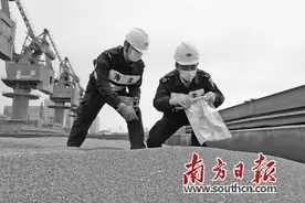 蛇口海关快速验放 7.35万吨进口高粱图片