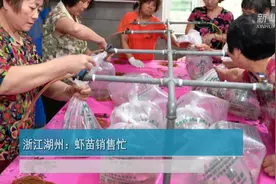 浙江湖州：虾苗销售忙视频封面