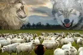 疾控话健康图片