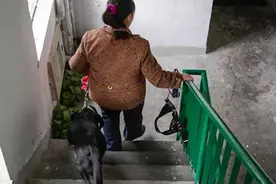 冲上热搜几天，导盲犬排尿被赶出小区？今天多方协商，问题解决了图片
