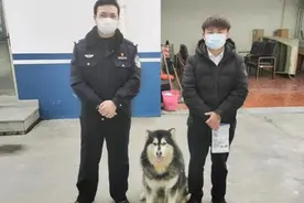 迷路的狗子“求助”警察蜀黍：我找不到“爸爸”了视频封面
