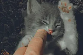 一课译词：无微不至图片