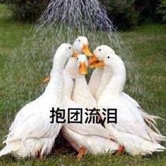 疯狂乱斗破解版下载（打起来打起来平台互相扯头花）