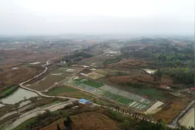 永州丨飞跃村：党建引领 以产业发展按下乡村振兴“飞跃键”图片