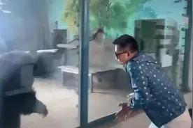 辽宁一男子隔玻璃与猩猩互动尬舞，当事人：我学它它学我，我感觉是它逗我视频封面