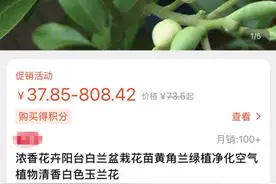 3·15调查｜大葱兰长出来竟是大葱！网购鲜花套路深图片