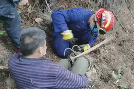 肇庆男子登山被捕兽夹“咬”脚，消防紧急救援图片
