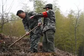 从荒山到绿水青山，“林二代”夫妇守护林场三十年视频封面
