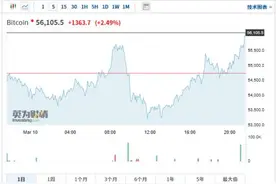 比特币又疯了，俄罗斯军方竟成幕后玩家？价格涨破56000美元，24小时8.5万人爆仓图片