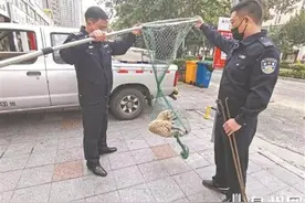晋江开展拉网式排查治理流浪狗 净化城市环境图片