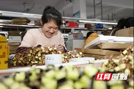 资兴“陪读妈妈”：既养了家，又顾了家图片