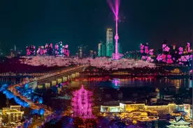 相约春天！武汉樱花主题灯光秀视频封面