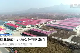 河北涿鹿：小獭兔敲开致富门视频封面