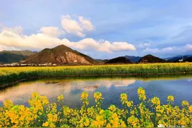 本周末，铜鉴湖赏花公交专线开通，一起赏油菜花去图片