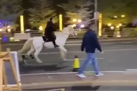 风一样的男子，东莞男子骑马飞奔来佛山，一夜之间成网红！没想到被人盯上了图片