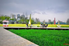 中国·成都第二届天府大地艺术季开幕！快来体验公园城市乡村之美图片