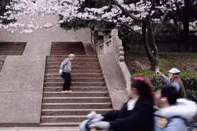 爷爷给樱花树下老伴拍照 一个动作让网友直呼浪漫图片
