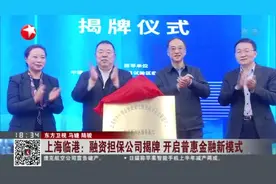 上海临港：融资担保公司揭牌  开启普惠金融新模式