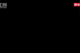 明星与你一起学雷锋日记，传递向善正能量图片