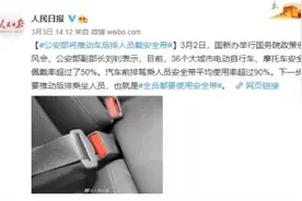 后排不系安全带？将被处罚图片