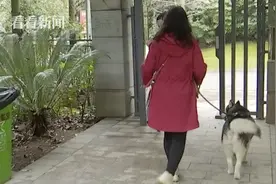 惨叫、抽搐！小区宠物接连离奇死亡 业主：养鸟人下的毒？图片